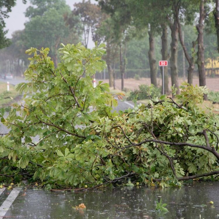 Restoration services in Akron, OH