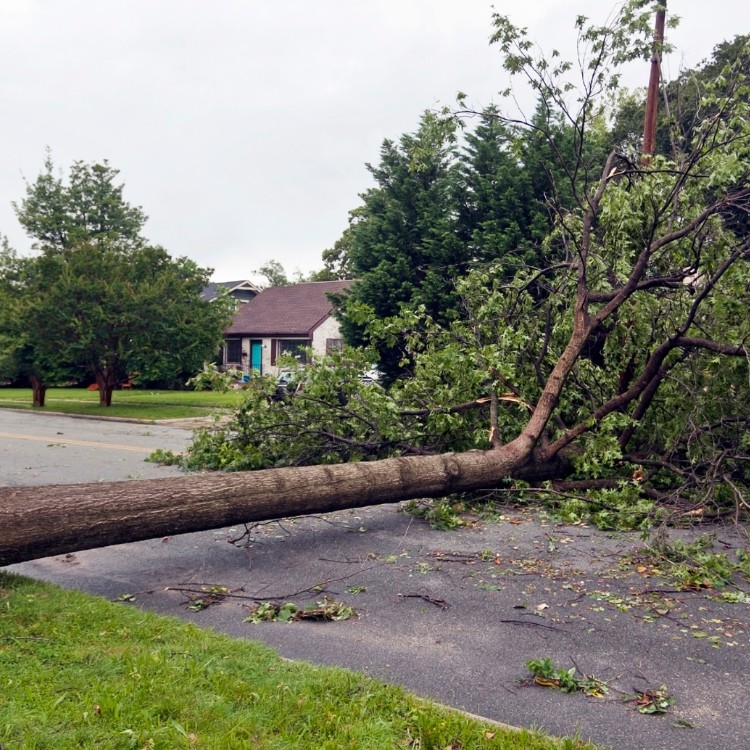 Restoration services in Akron, OH